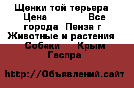 Щенки той терьера › Цена ­ 10 000 - Все города, Пенза г. Животные и растения » Собаки   . Крым,Гаспра